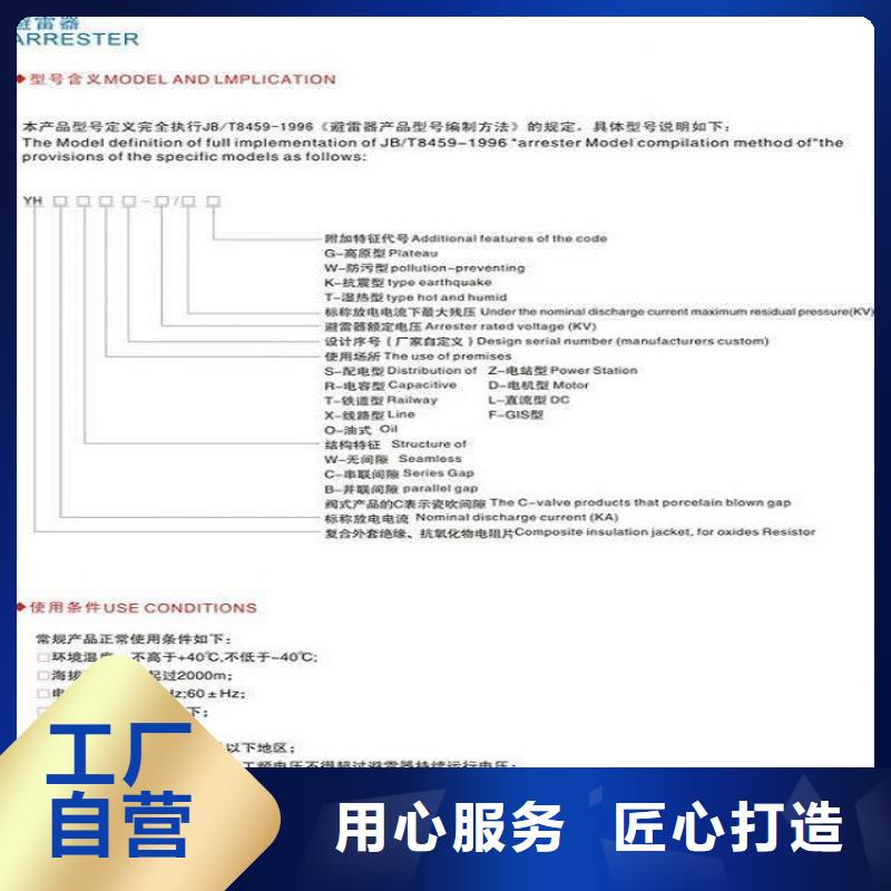 避雷器Y5W5-52.7/125【羿振電氣】