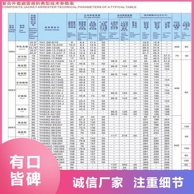 氧化鋅避雷器Y10W5-96/250