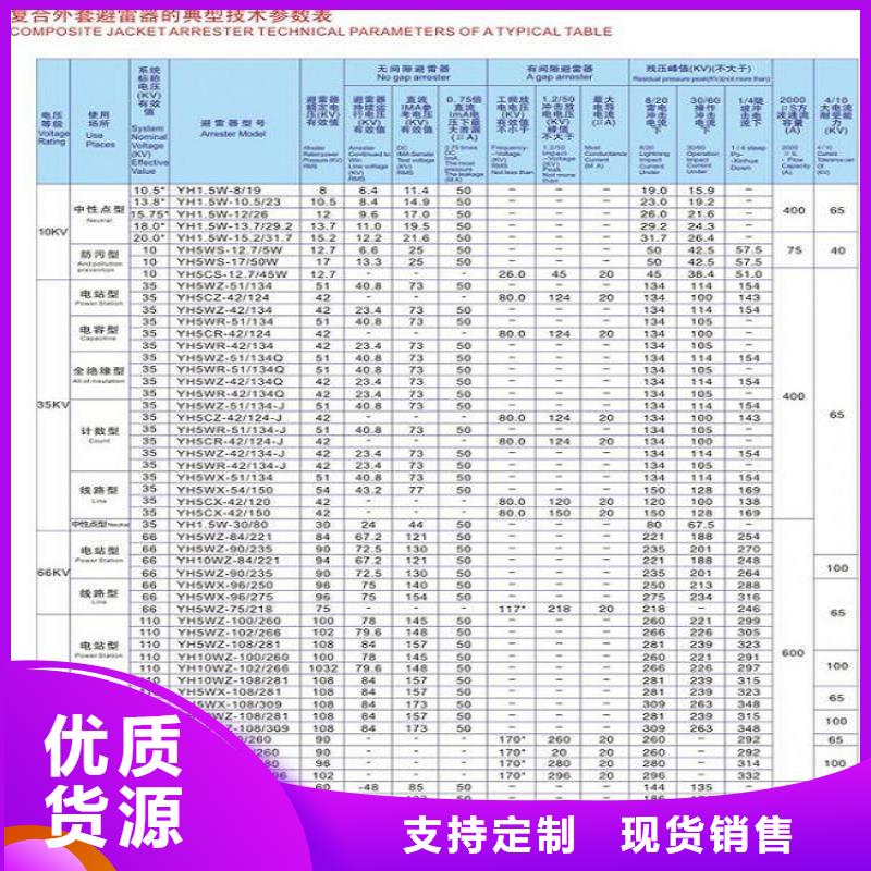 避雷器YH10CX-96/280【羿振電氣】