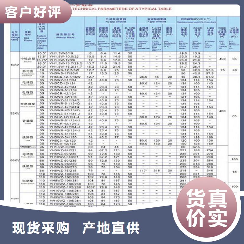 避雷器Y10W-204/532上海羿振電力設備有限公司