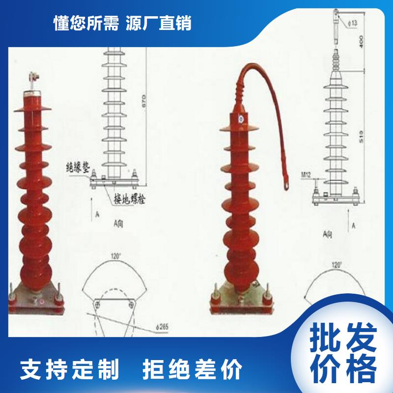 避雷器Y10W-100/260G