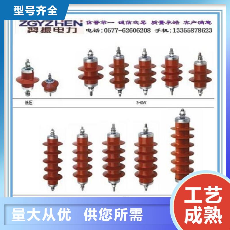 避雷器Y10W1-102/266