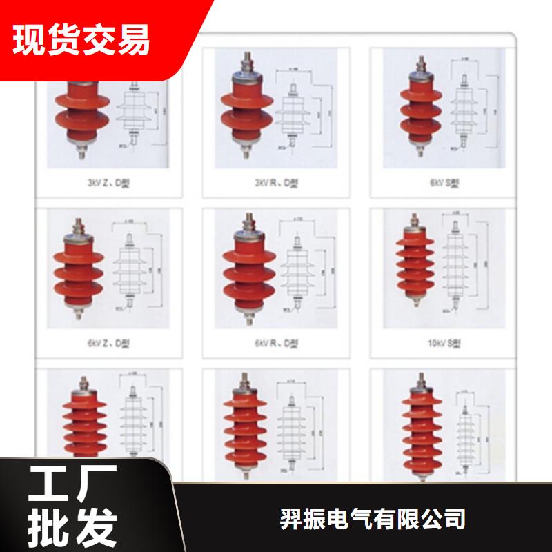 氧化鋅避雷器Y10W-108/281浙江羿振電氣有限公司