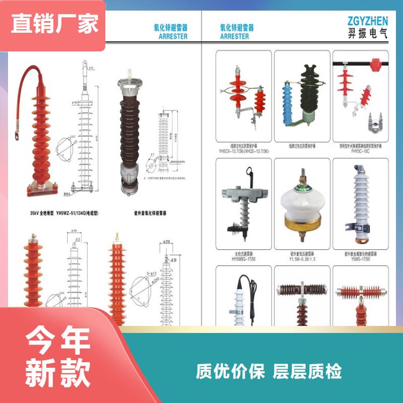 瓷外套金屬氧化物避雷器Y10W-200/496