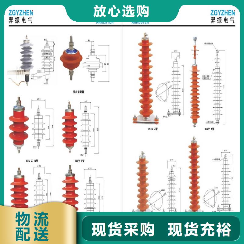 瓷外套金屬氧化物避雷器Y10W-200/496