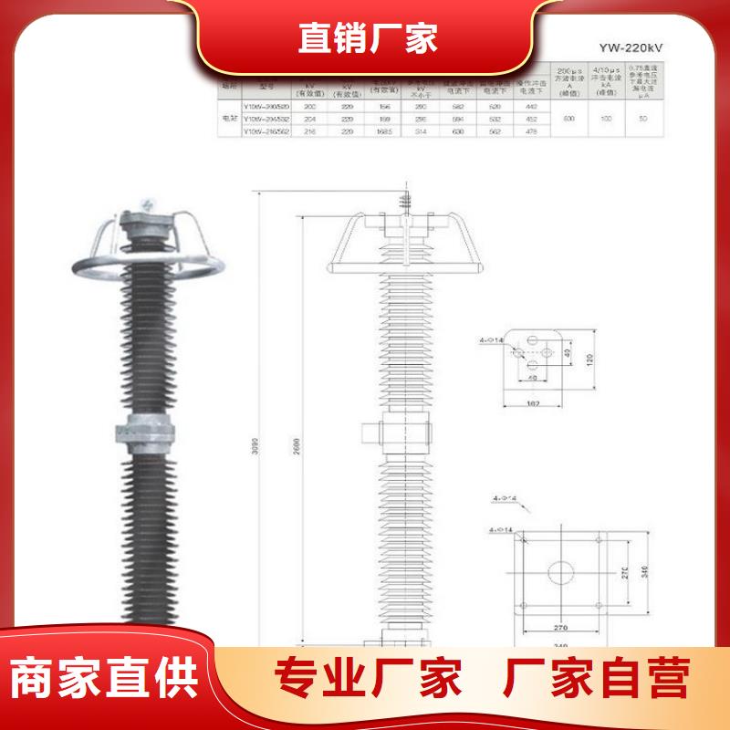 避雷器YH10WZ-51/134GY