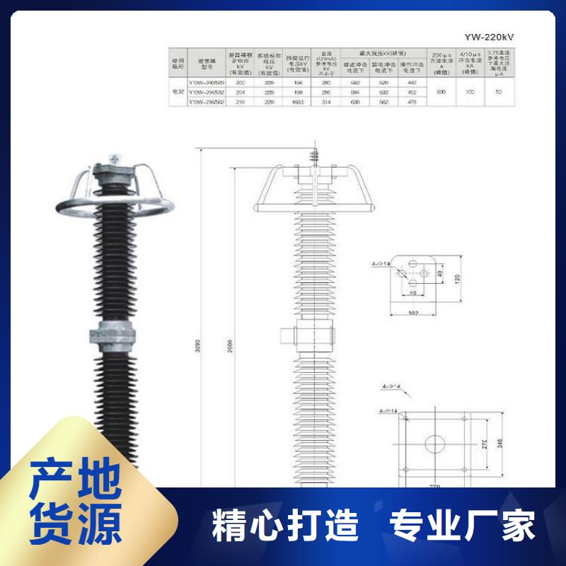 【羿振電氣】避雷器Y10W-300/727W