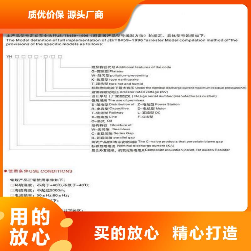 避雷器YH10W1-200/496W【羿振電氣】