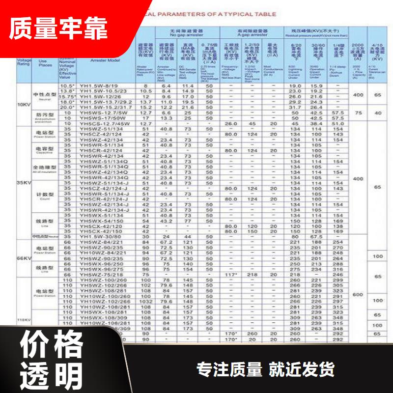 避雷器YH10CX-108/281J【羿振電氣】