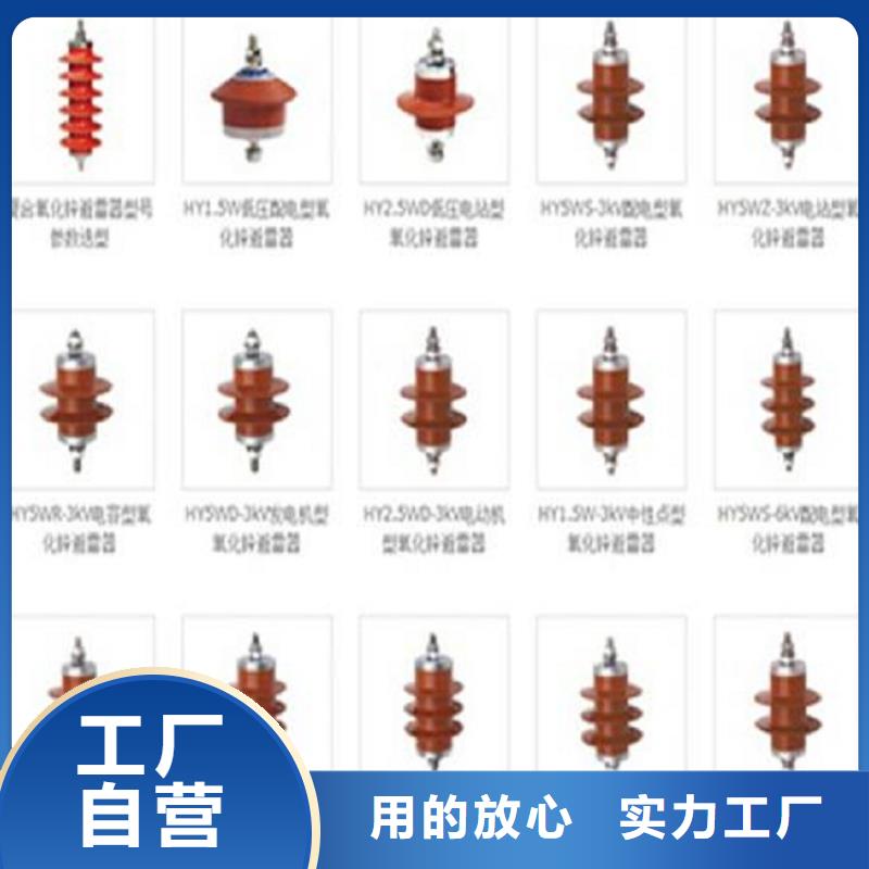 避雷器YH5WS1-17/45【上海羿振電力設備有限公司】