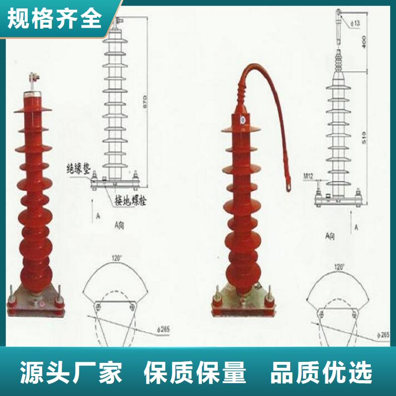 氧化鋅避雷器Y10W1-96/250(G)W圖片