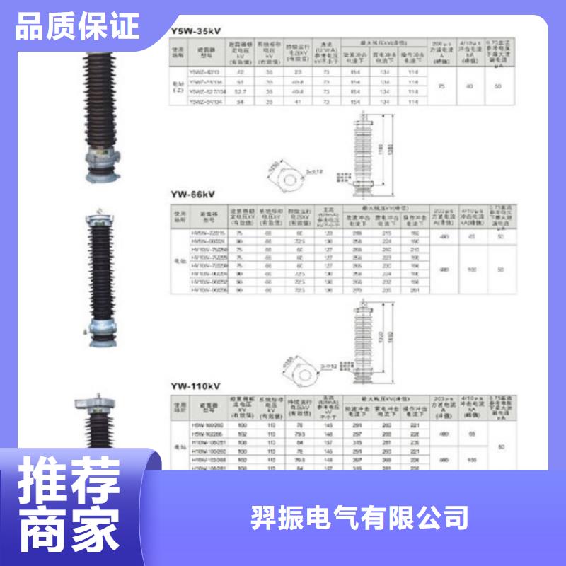 避雷器YH10W-216/562【羿振電氣】