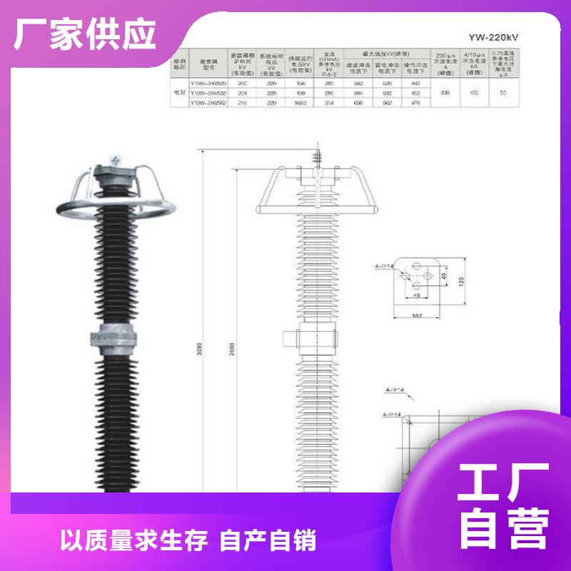 避雷器Y10W1-42/126W【羿振電力】