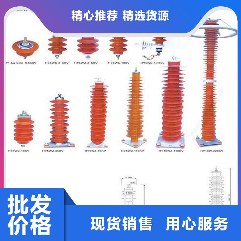 YH10WZ-51/134【羿振電力】