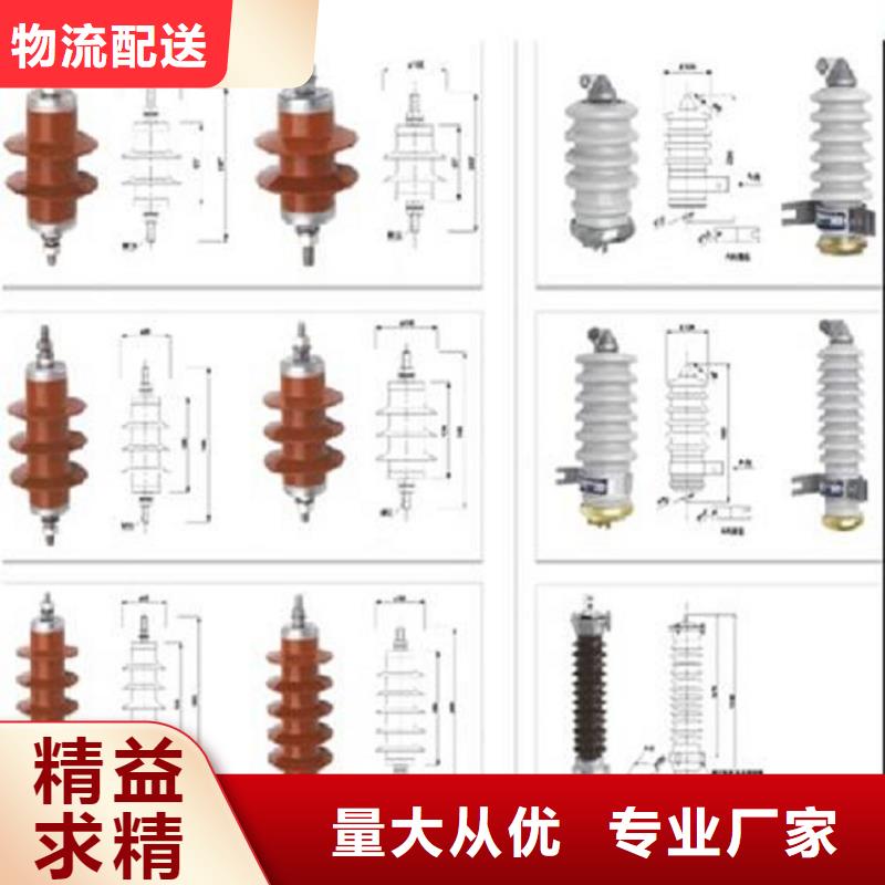 避雷器Y10W1-100/260【浙江羿振電氣有限公司】