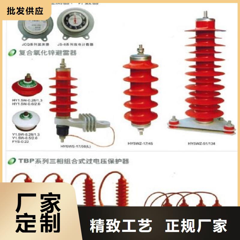 【浙江省溫州市樂清市柳市鎮】氧化鋅避雷器HY10W-192/500生產廠家