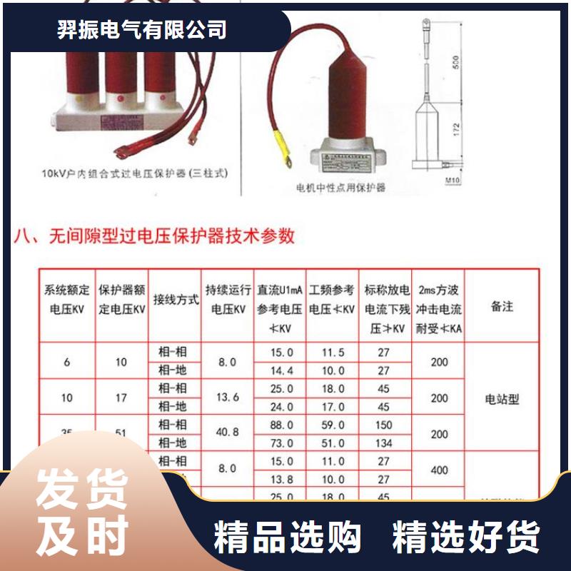 過電壓保護(hù)器(組合式避雷器)BSTG-B-12.7F/131