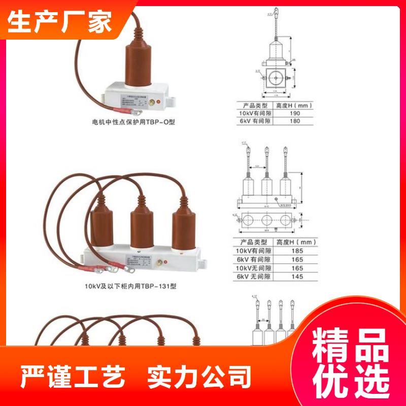 保護器(組合式避雷器)RTB-Z-7.6KV/85