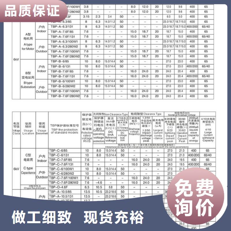 保護器(組合式避雷器)TBP-W-B/6-F組合過電壓保護器