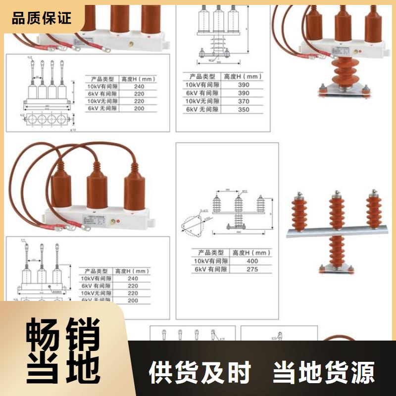 【過電壓保護器】YH5WS-10/30*10/30