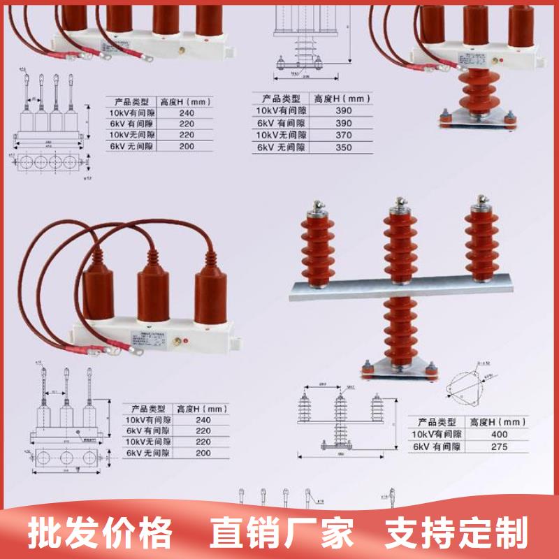 過電壓保護器(組合式避雷器)BSTG-B-6.3