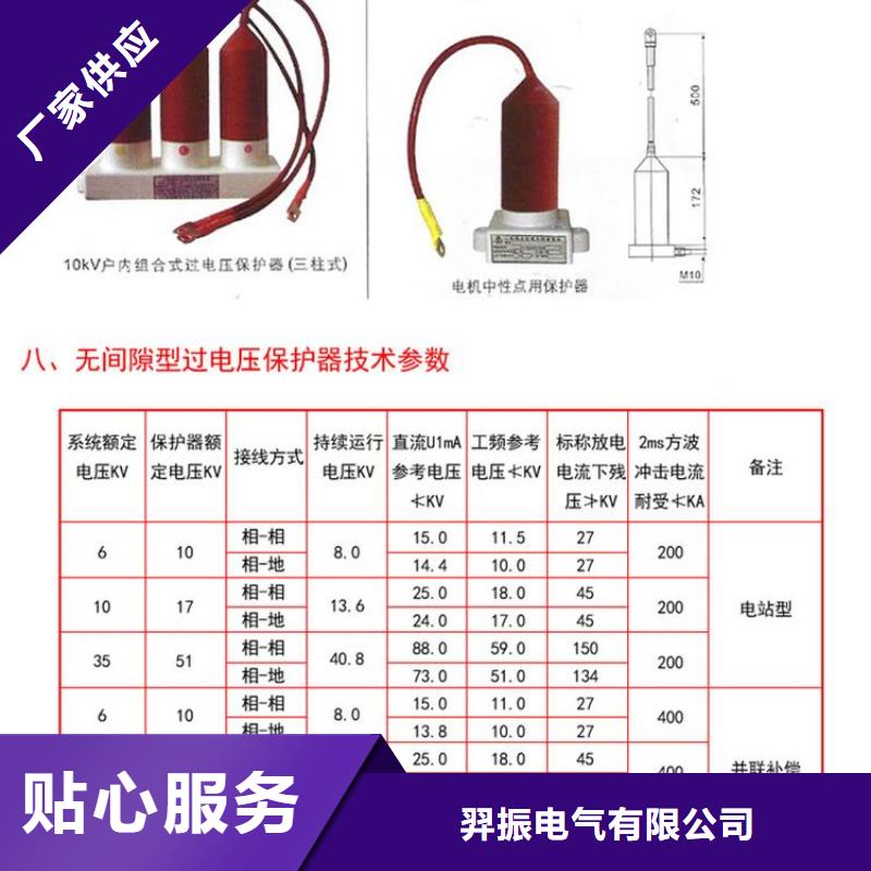 過電壓保護器(組合式避雷器)YH5CS-12.7/45*12.7/45