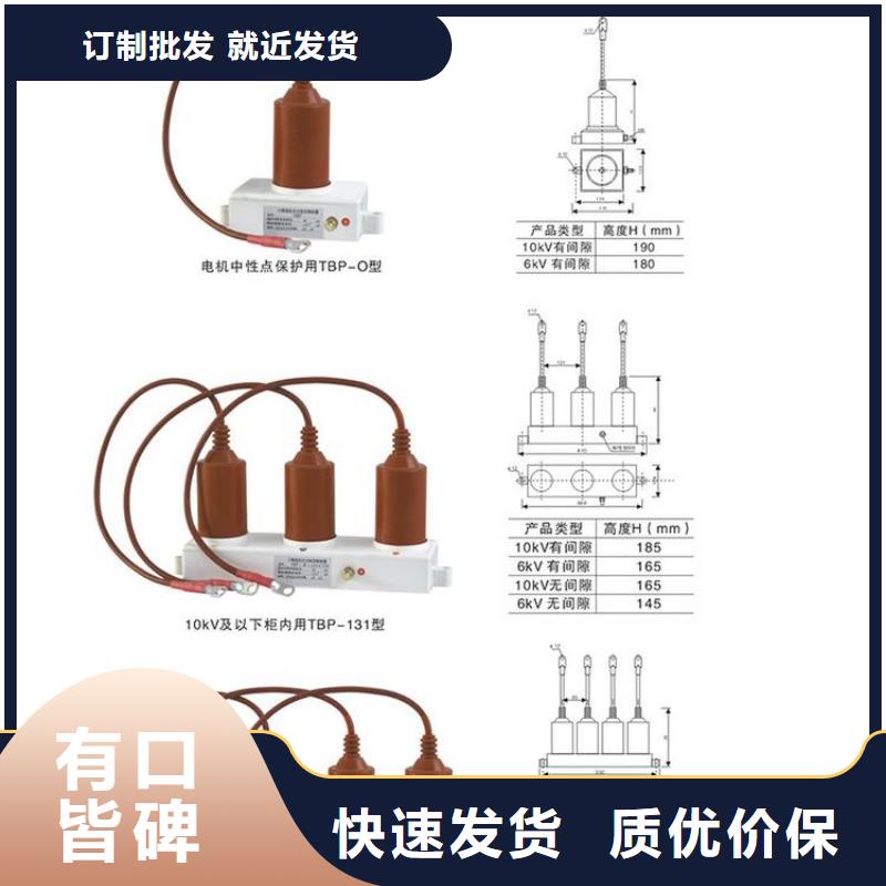 〖過電壓保護(hù)器〗Y(jié)H5WD-13.5/38.7*13.5/31.0免費(fèi)咨詢