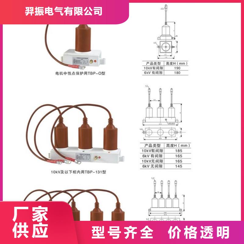 【羿振電力牌】過電壓保護器TBP-A-6.3/131-J