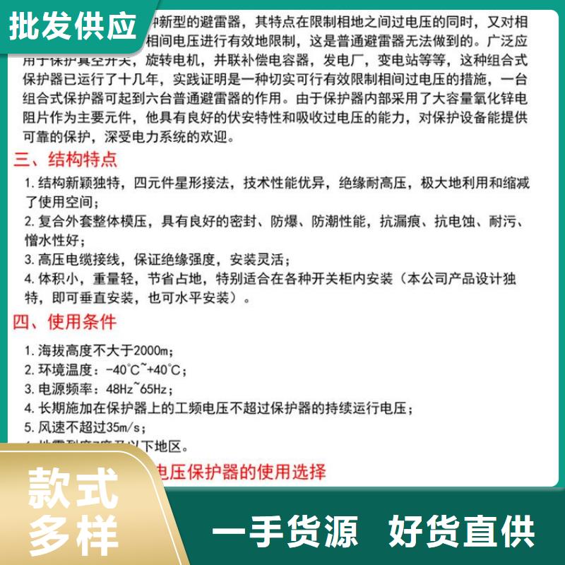 〖過電壓保護器〗RSB-A/F-35發貨快