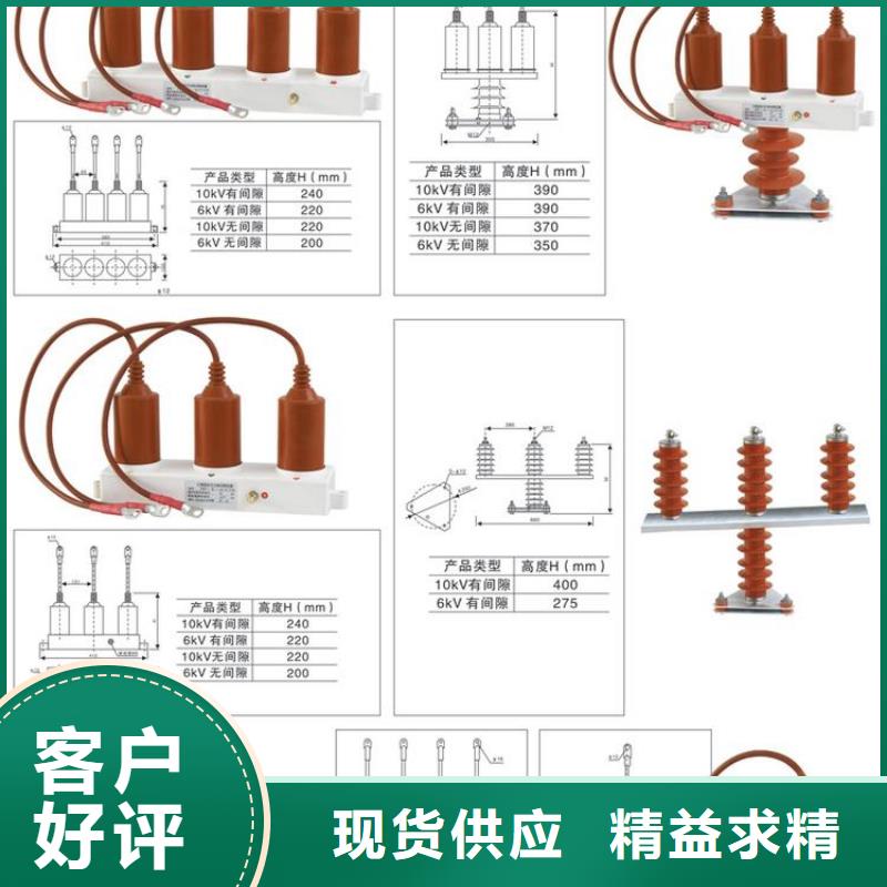 過電壓保護器(組合式避雷器)BSTG-B-6-J