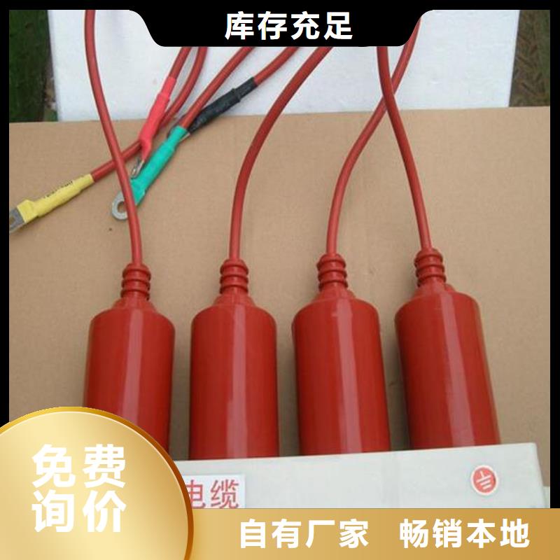 【羿振電力牌】過電壓保護器TBP-C-7.6F/85-J