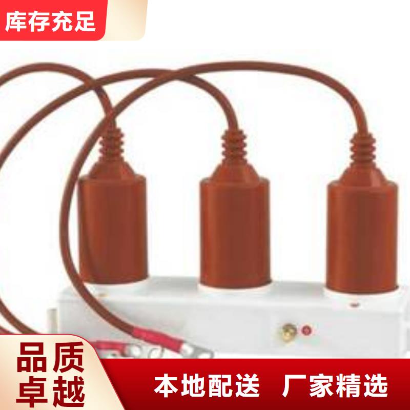 過電壓保護(hù)器高壓組合式避雷器BWKP-C-7.6/131-J