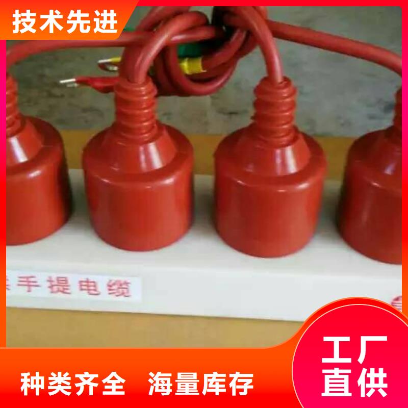 過電壓保護器(組合式避雷器)TBP-C-6.3/131