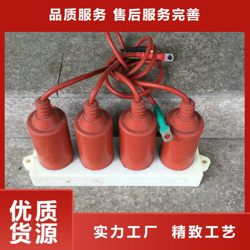 【羿振電力牌】過電壓保護器TBP-A-42F/630W2