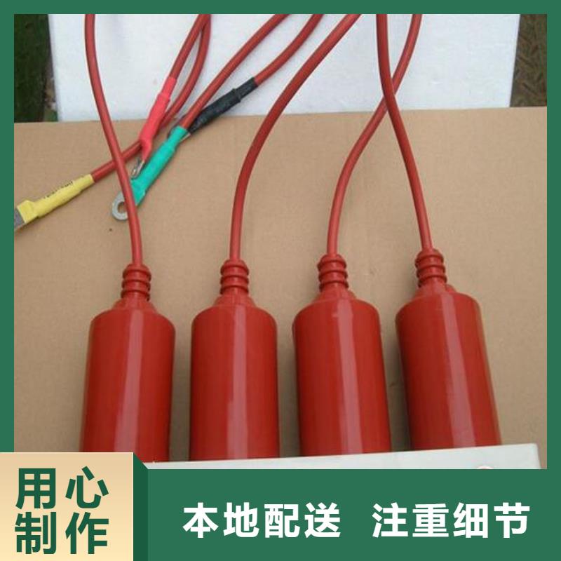 保護器(組合式避雷器)TBP-A-6.3F/85