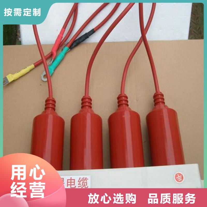 【羿振電力牌】過電壓保護器TBP-C-6.3/85