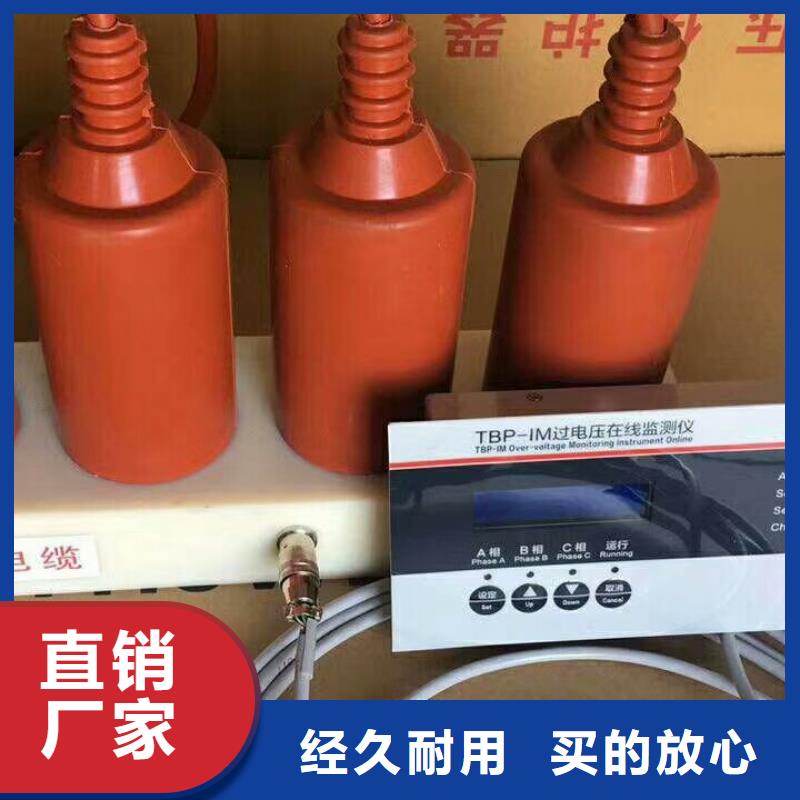 【羿振電力牌】過電壓保護器TBP-A-6.3/131-J