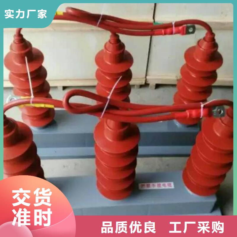 過電壓保護(hù)器(組合式避雷器)TBP-A-42F/200