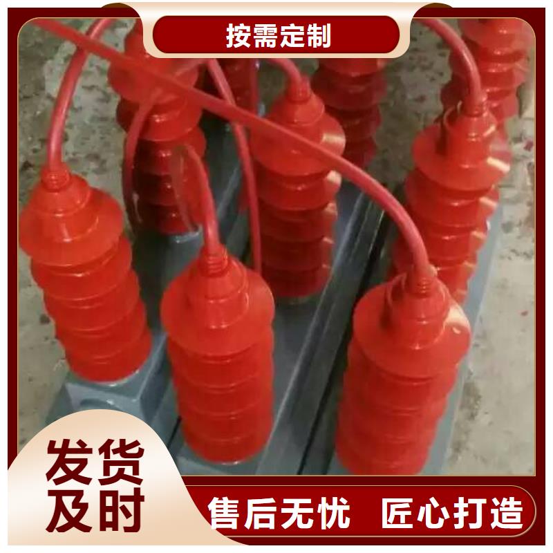 保護器(組合式避雷器)TBP-W-B/6-F組合過電壓保護器