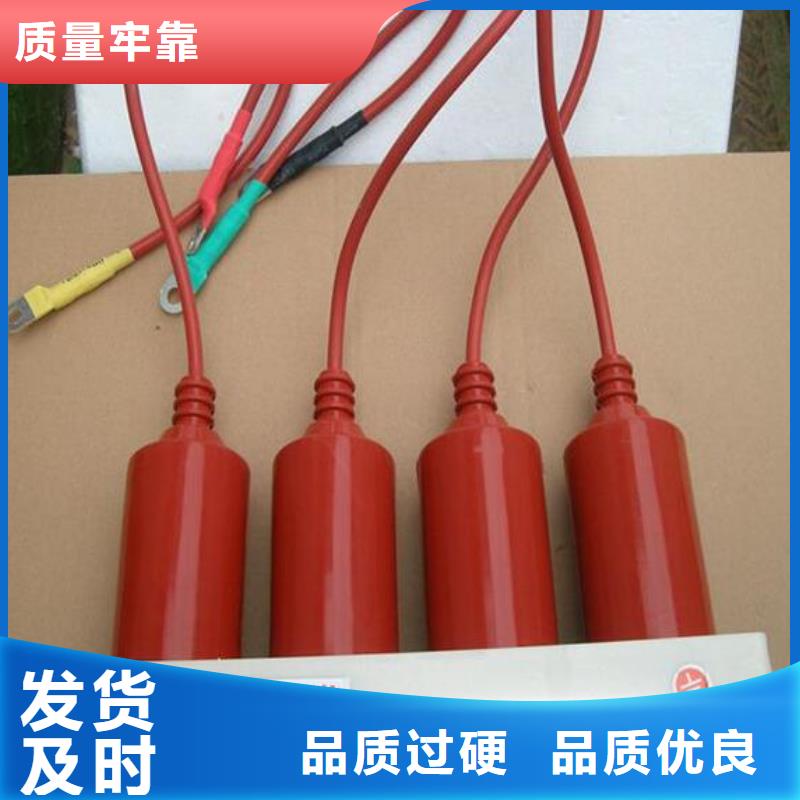 【羿振電力牌】過電壓保護器TBP-C-42/630W