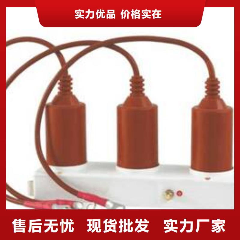 【羿振電力牌】過電壓保護器TBP-B-42F/310