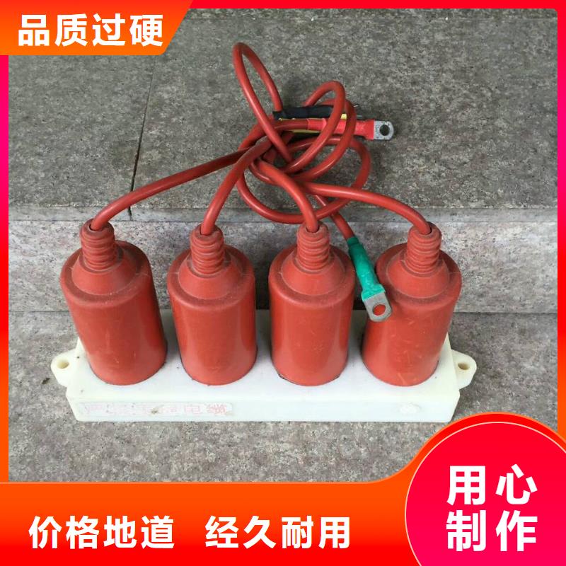 【羿振電力牌】過電壓保護器TBP-A-6.3/131-J