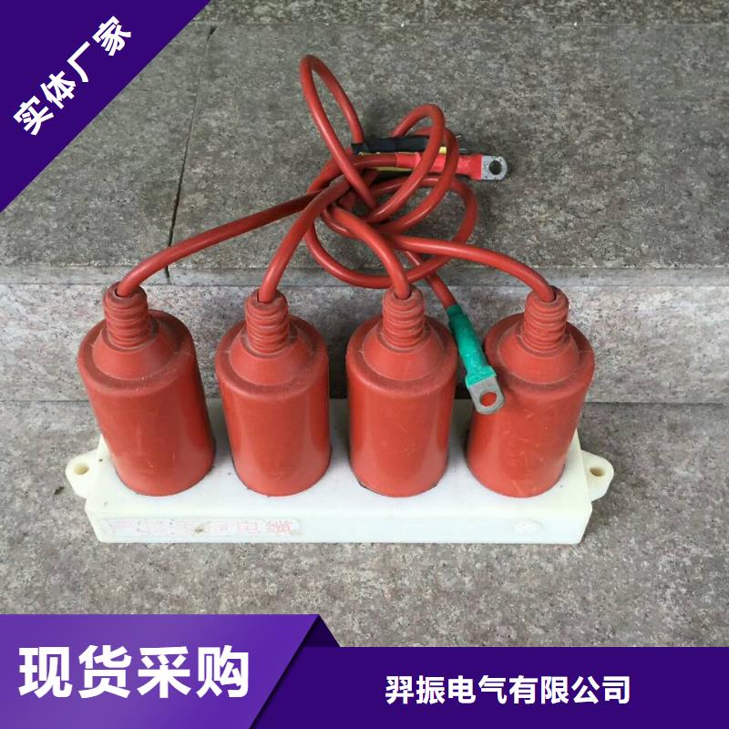 【羿振電力牌】過電壓保護器TBP-A-6.3/131