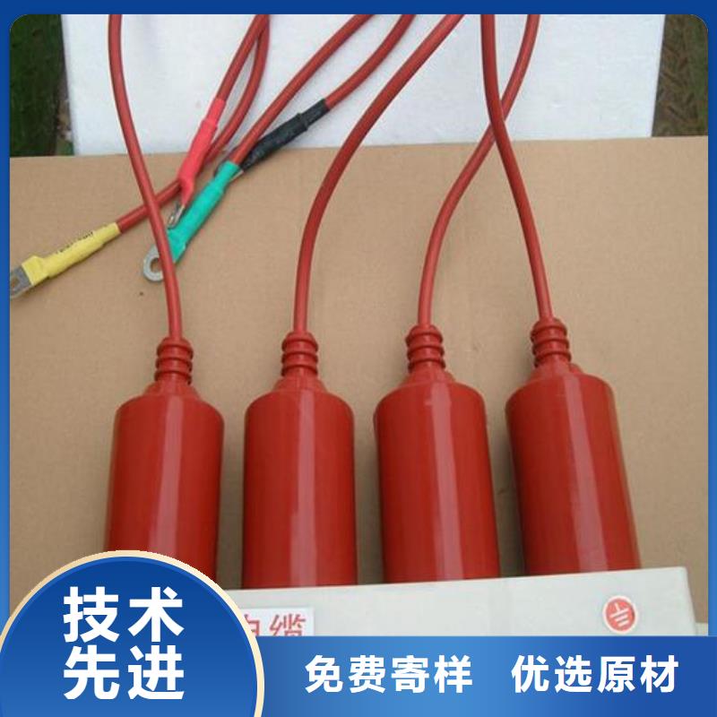 保護(hù)器(組合式避雷器)BSTG-C-42F/400W1