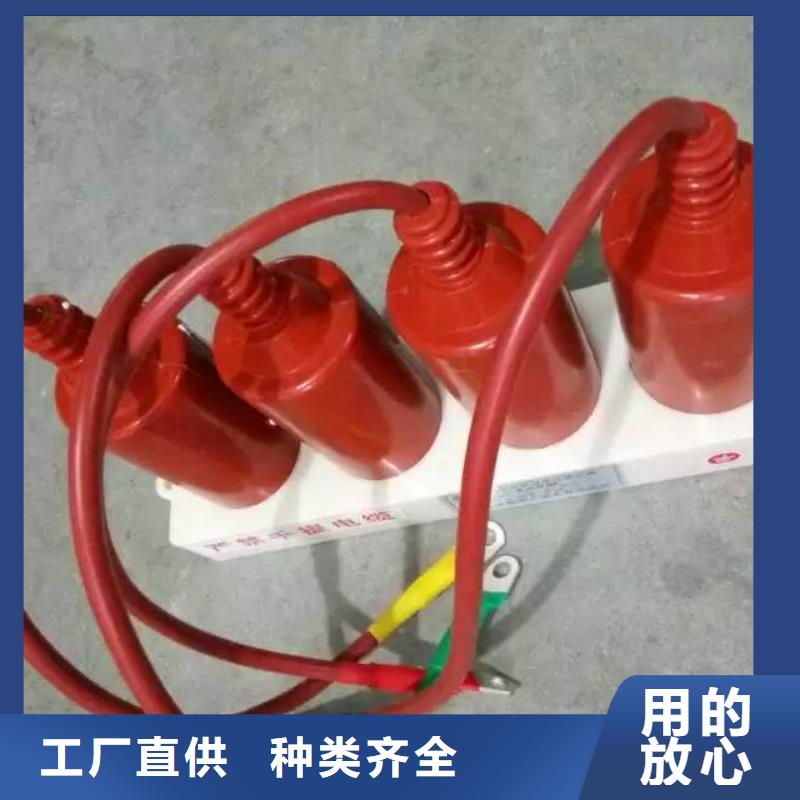 【羿振電力牌】過電壓保護器TBP-C-42/630W