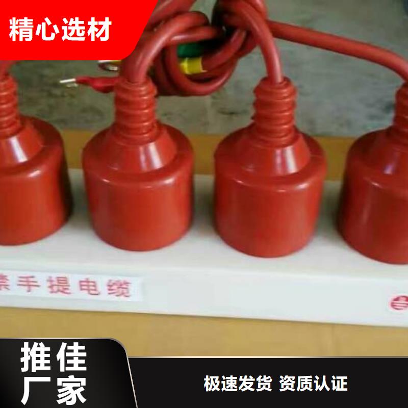 保護(hù)器(組合式避雷器)BSTG-C-42F/400W1