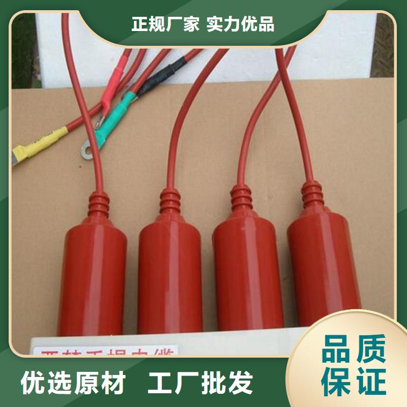 【羿振電力牌】過電壓保護器TBP-A-6.3/131