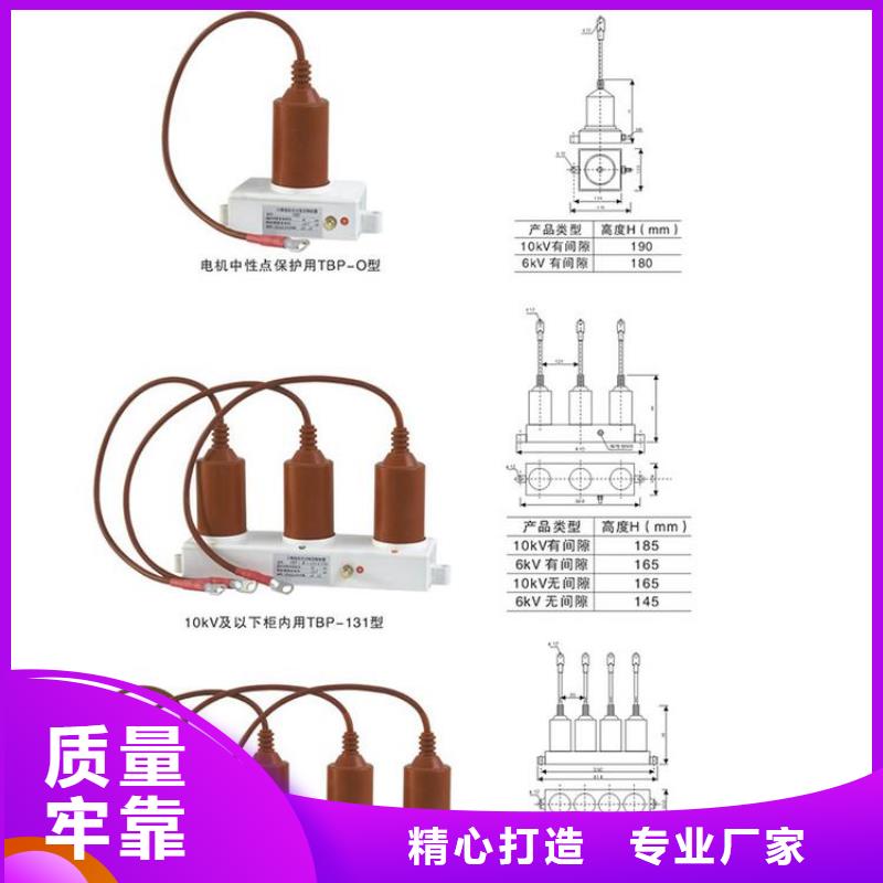 【羿振電力牌】過電壓保護器TBP-C-10.5/85-J