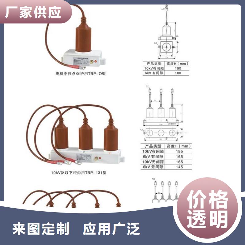 保護器(組合式避雷器)BSTG-C-42F/400W1