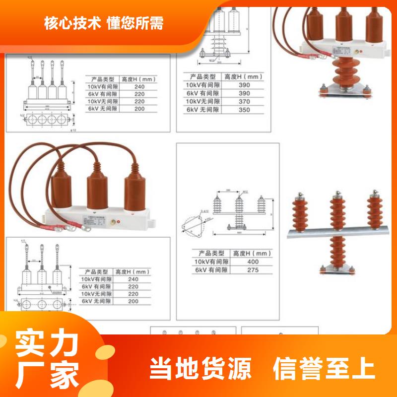 〖過電壓保護器〗HBP-R-42/110生產基地